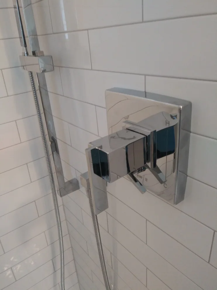 Desplaines Shower Space by Premier Kitchen & Bath Remodeling - Photo 19