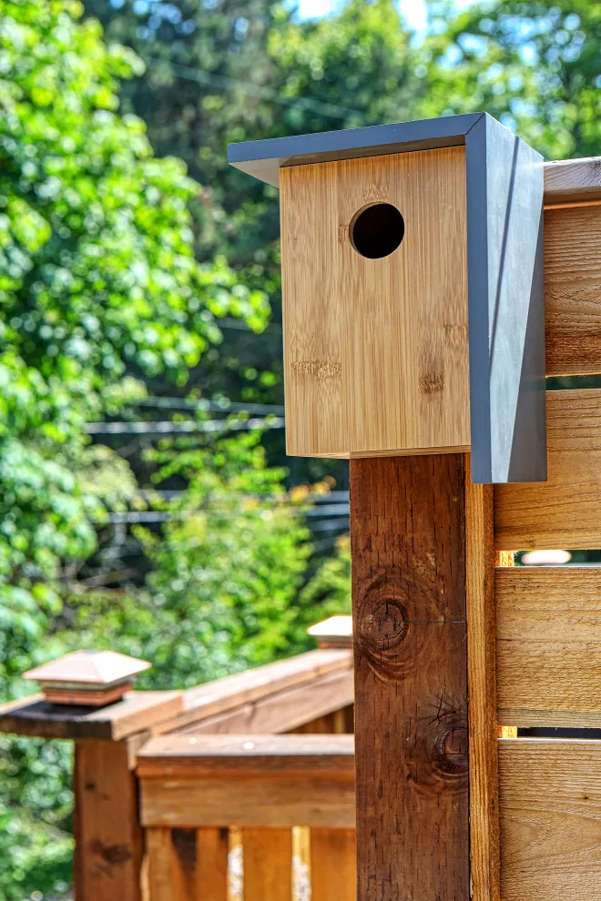 Contemporary DADU in North Seattle by Armada Design & Build - Photo 15