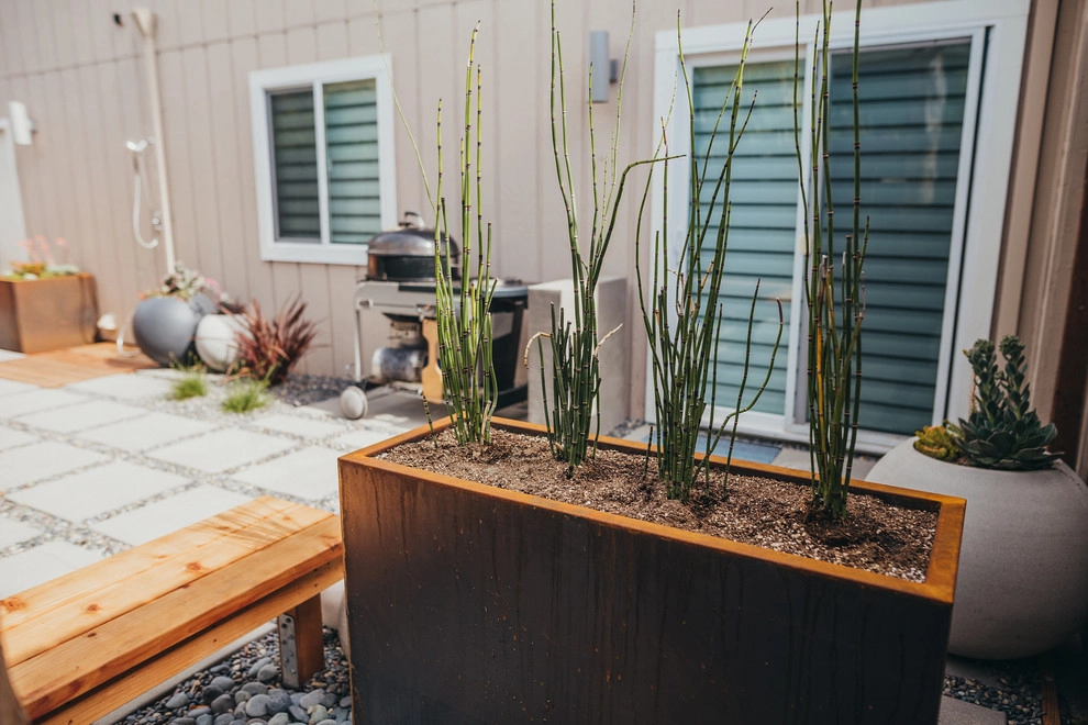 Crisp Capitola by K & D Landscaping, Inc. - Photo 5