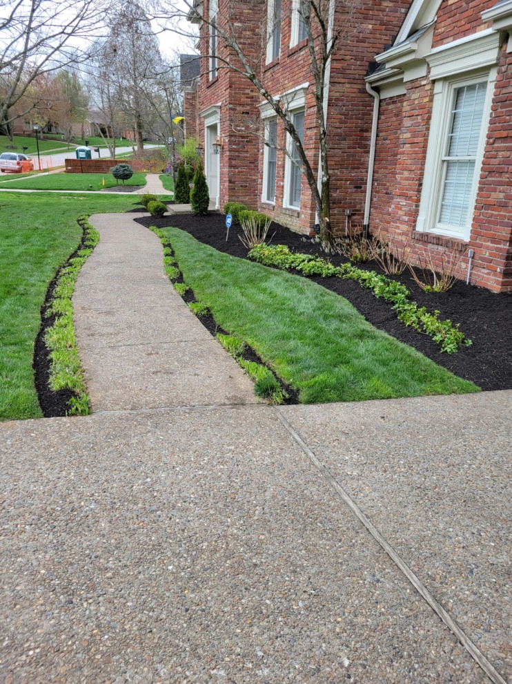Alberto Alavez Professional Lawn Services LLC 13 by Alberto Alavez Professional Lawn Services LLC - Photo 7