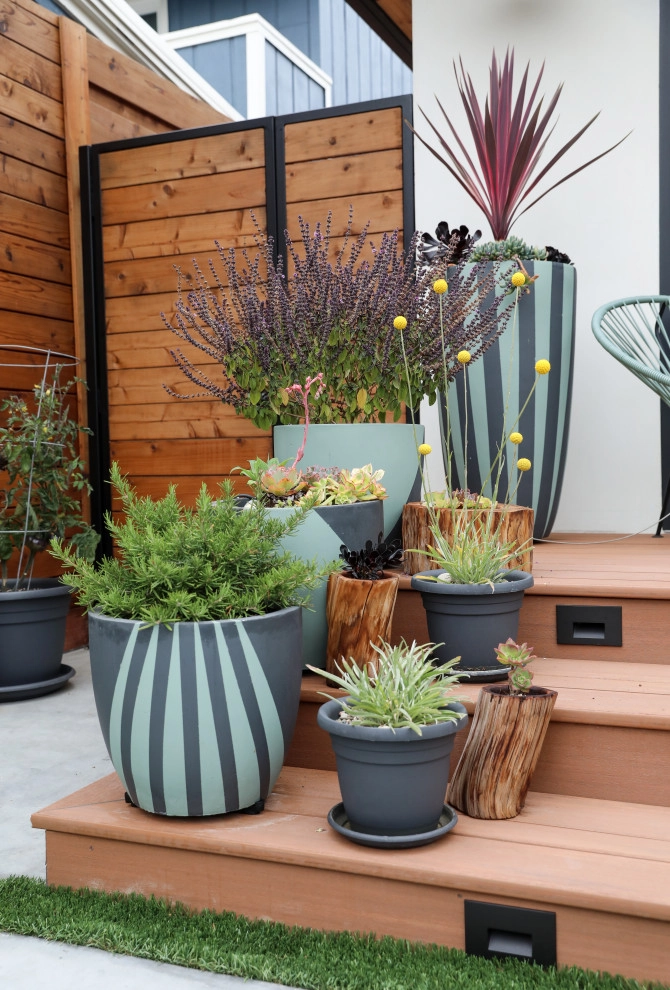 Santa Cruz Sustainable by K & D Landscaping, Inc. - Photo 28