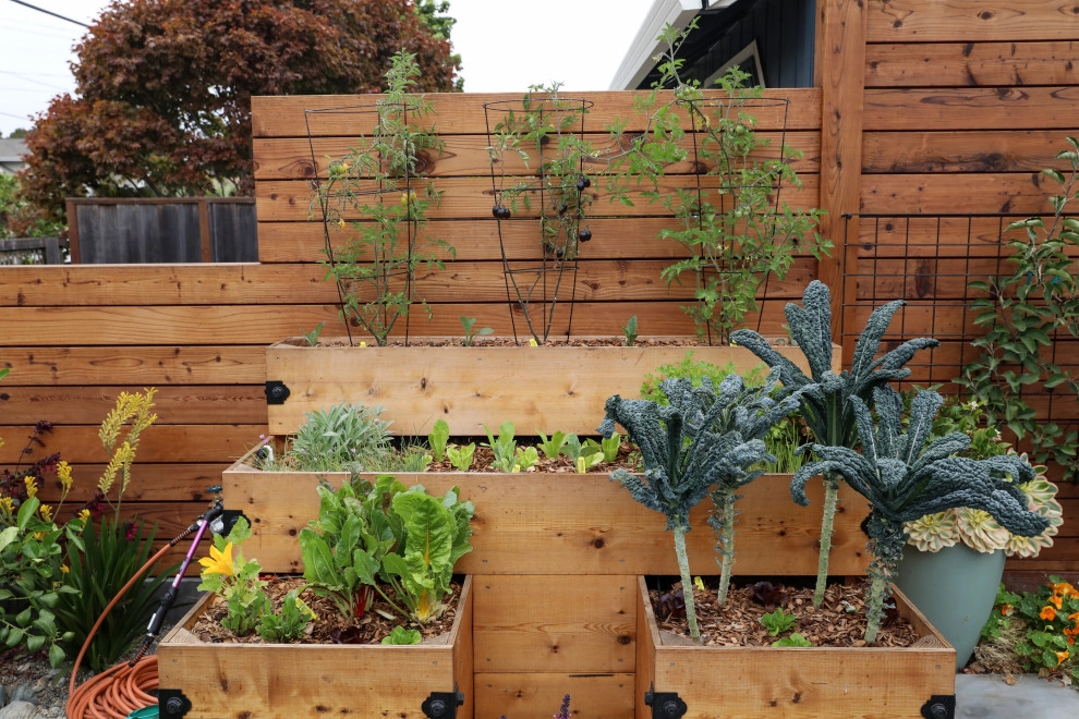 Santa Cruz Sustainable by K & D Landscaping, Inc. - Photo 30