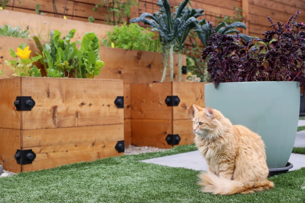 Santa Cruz Sustainable by K & D Landscaping, Inc. - Photo 8