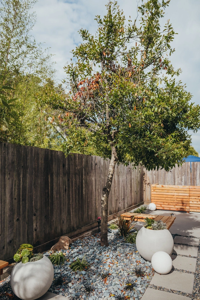 Crisp Capitola by K & D Landscaping, Inc. - Photo 12
