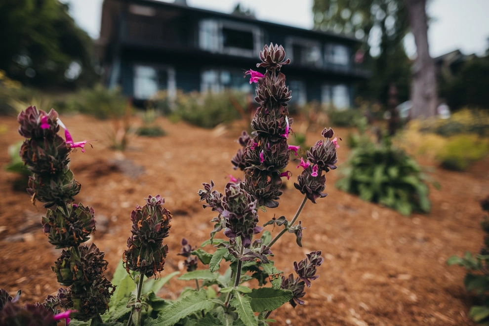 Welcome Home by K & D Landscaping, Inc. - Photo 18