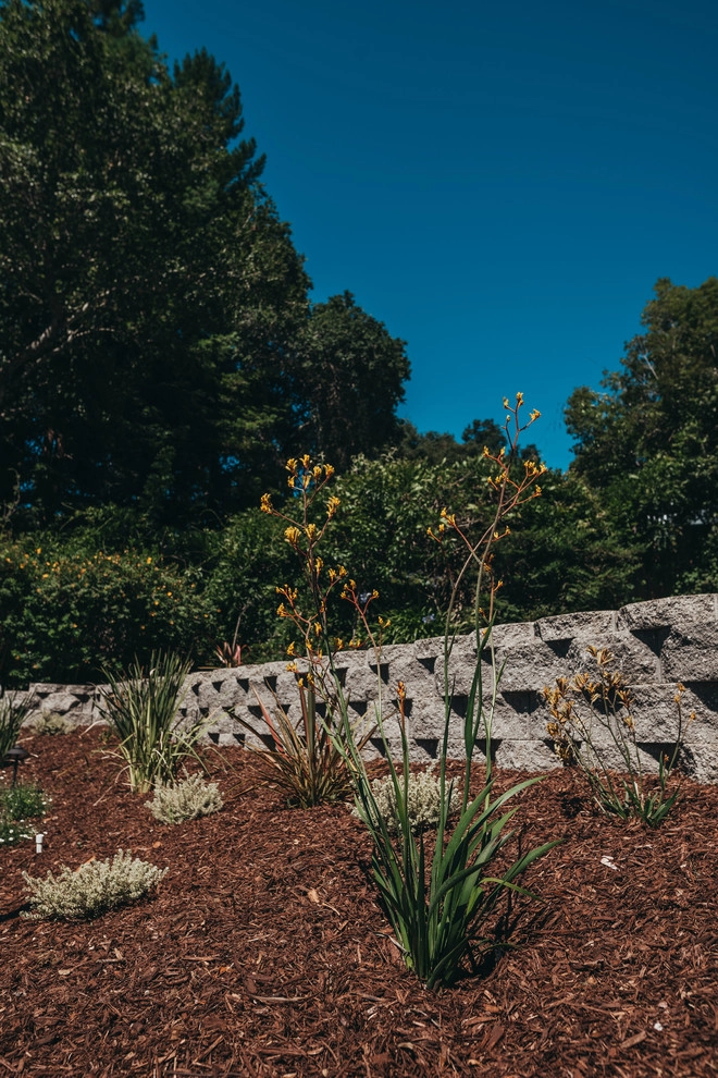 Backyard Staycation by K & D Landscaping, Inc. - Photo 14