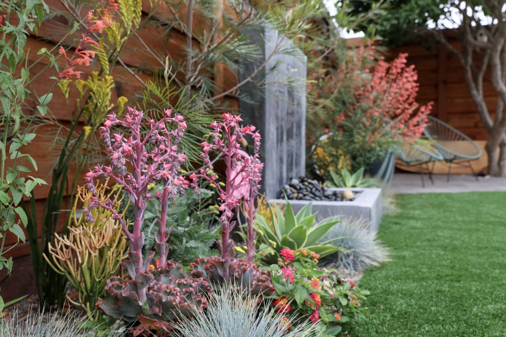 Santa Cruz Sustainable by K & D Landscaping, Inc. - Photo 23