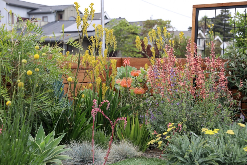 Santa Cruz Sustainable by K & D Landscaping, Inc. - Photo 2