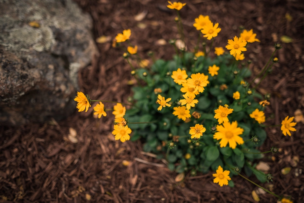 Welcome Home by K & D Landscaping, Inc. - Photo 5