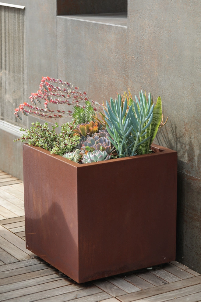 Modern Coast by K & D Landscaping, Inc. - Photo 9