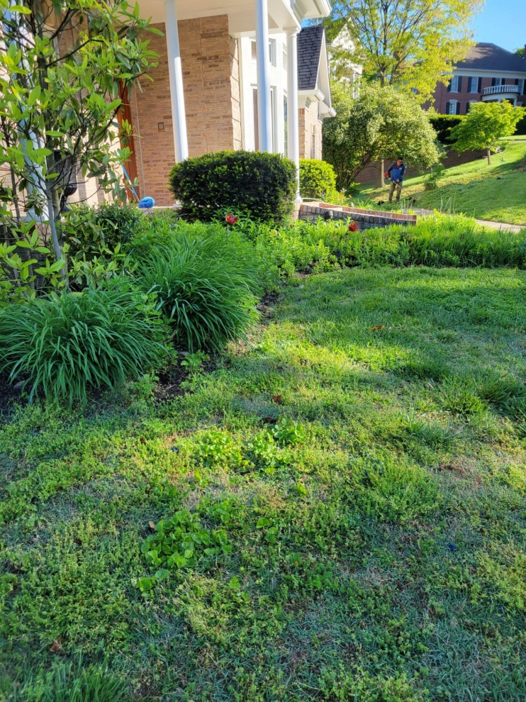 Alberto Alavez Professional Lawn Services LLC 17 by Alberto Alavez Professional Lawn Services LLC - Photo 9