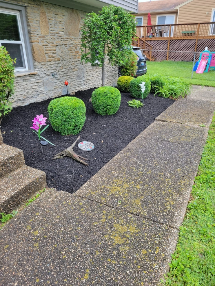 Alberto Alavez Professional Lawn Services LLC 17 by Alberto Alavez Professional Lawn Services LLC - Photo 10