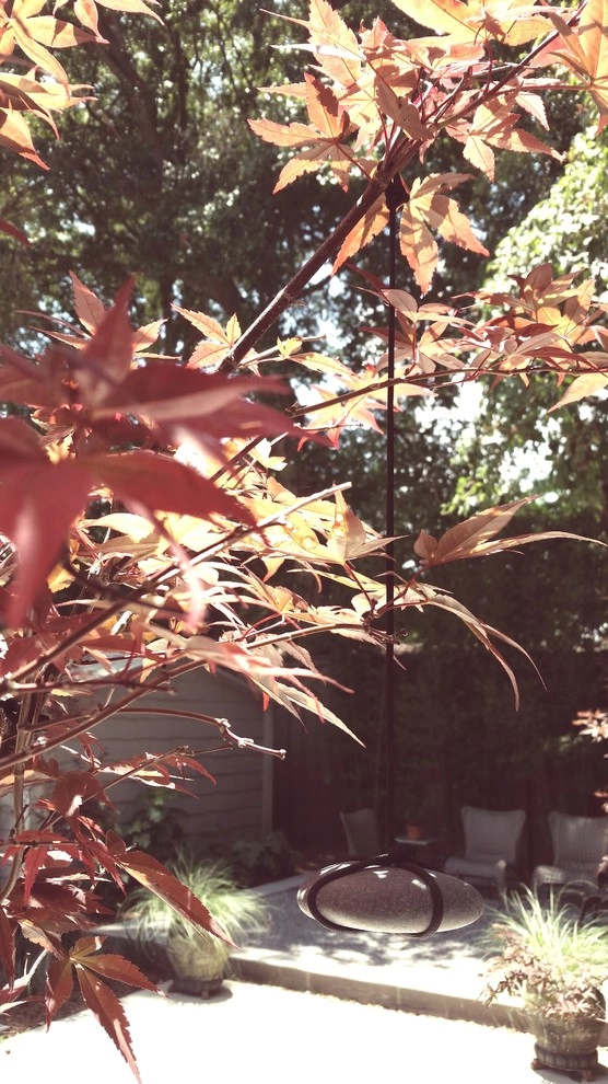 Japanese tree weights / Shaping technique by KAPPLE Landscape Design - Photo 3