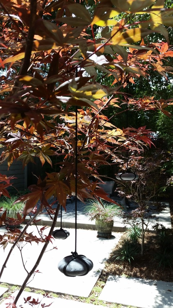 Japanese tree weights / Shaping technique by KAPPLE Landscape Design - Photo 6