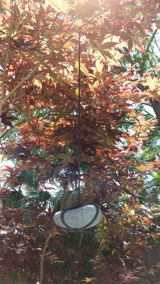 Japanese tree weights / Shaping technique by KAPPLE Landscape Design - Photo 4