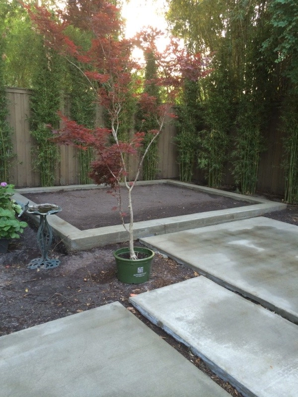 Backyard Entertaining by KAPPLE Landscape Design - Photo 14