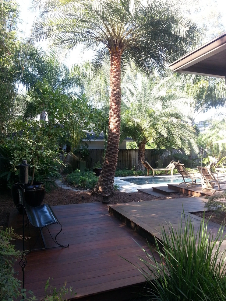 Eastern Zen / Jacksonville, FL by KAPPLE Landscape Design - Photo 12