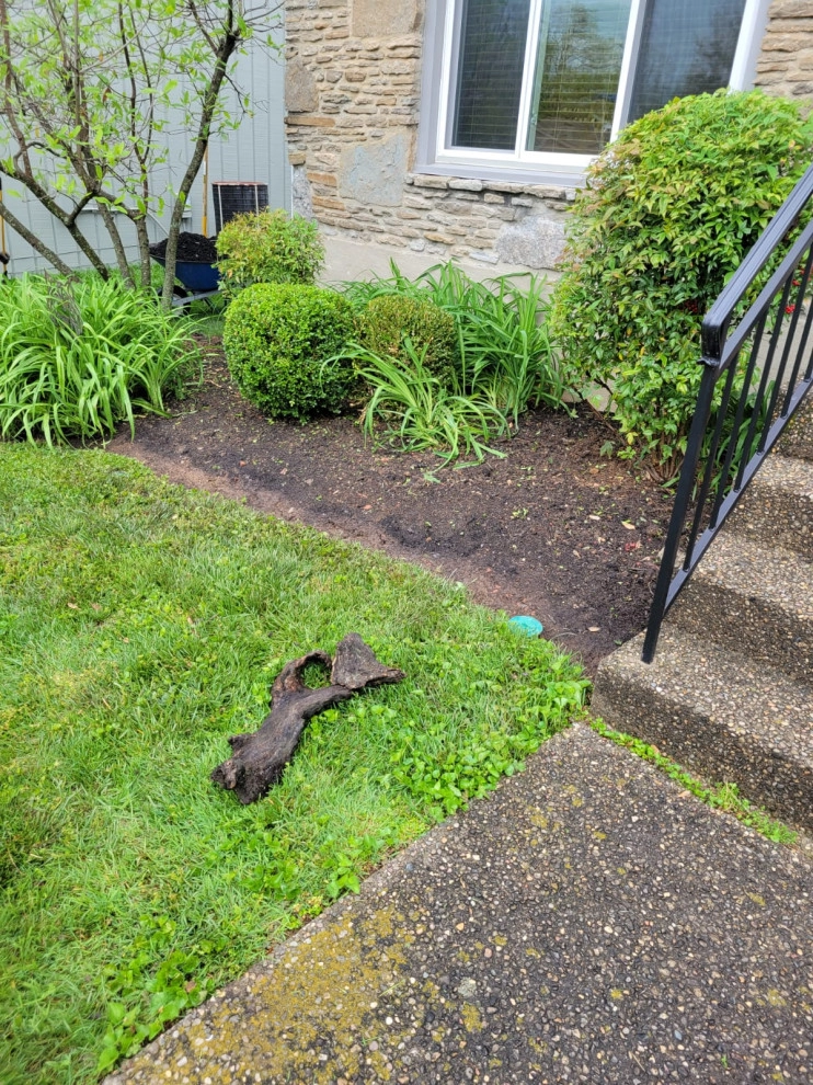 Alberto Alavez Professional Lawn Services LLC 17 by Alberto Alavez Professional Lawn Services LLC - Photo 8