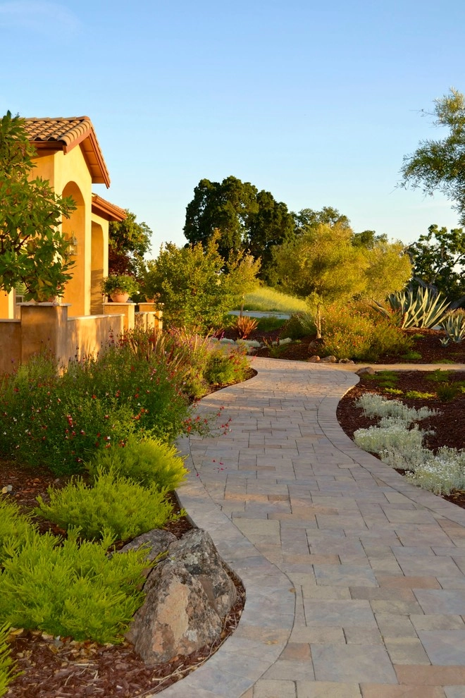 Mediterranean Xeriscape Garden by Karen Aitken And Associates - Photo 6
