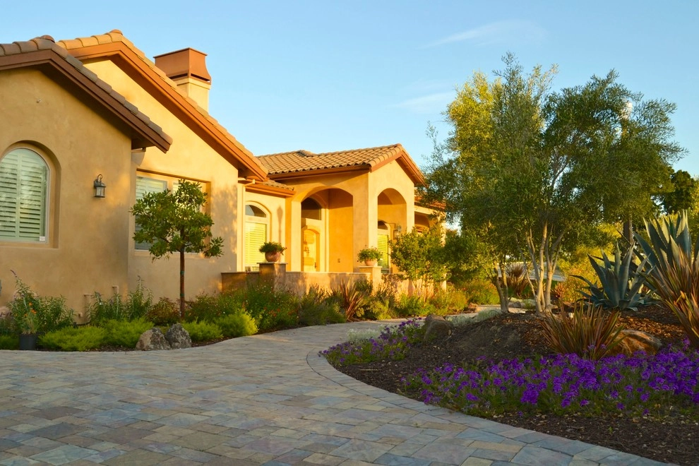 Mediterranean Xeriscape Garden by Karen Aitken And Associates - Photo 5