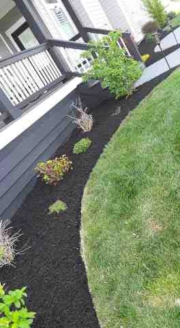 Alberto Alavez Professional Lawn Services LLC 5 by Alberto Alavez Professional Lawn Services LLC - Photo 86
