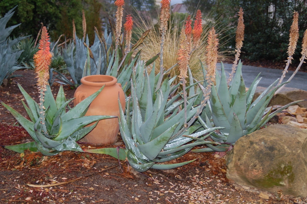 California Old Hacienda Garden by Karen Aitken And Associates - Photo 11