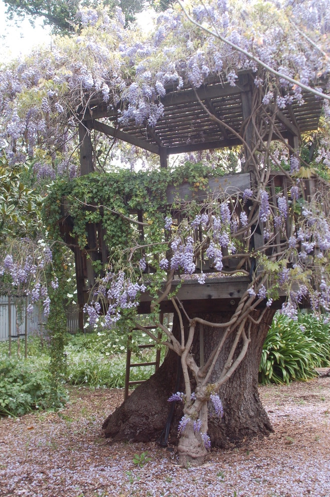Wisteria Tree House by Karen Aitken And Associates - Photo 3