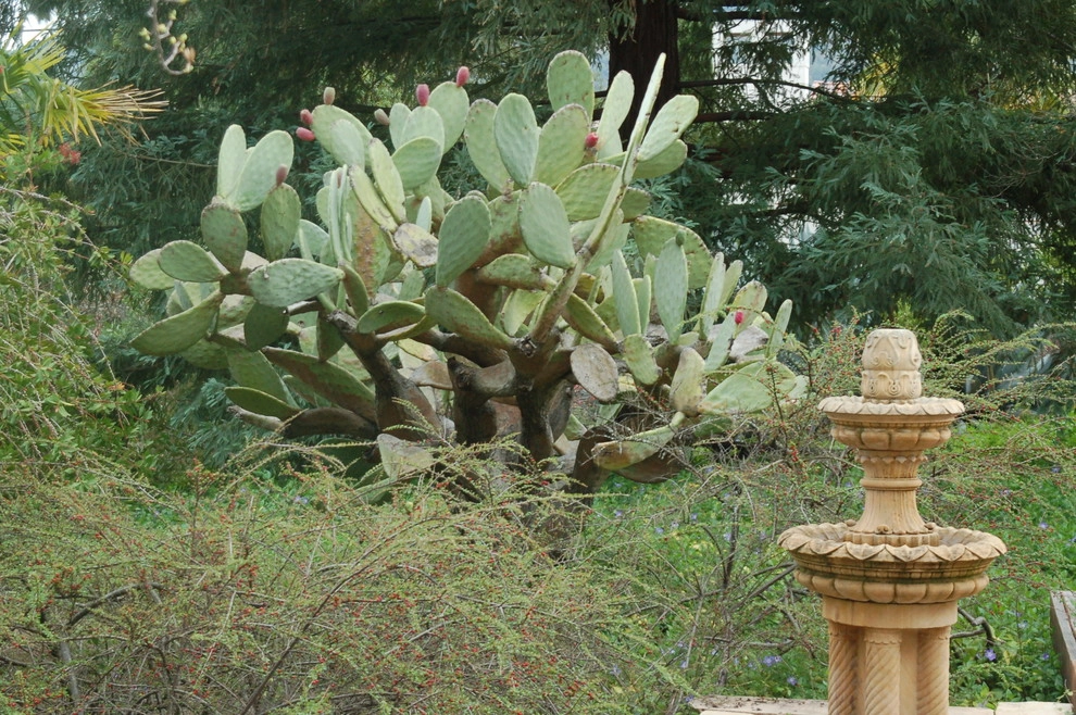 California Old Hacienda Garden by Karen Aitken And Associates - Photo 4