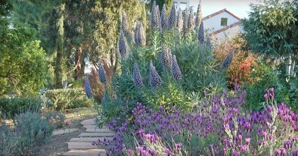 California Old Hacienda Garden by Karen Aitken And Associates - Photo 19