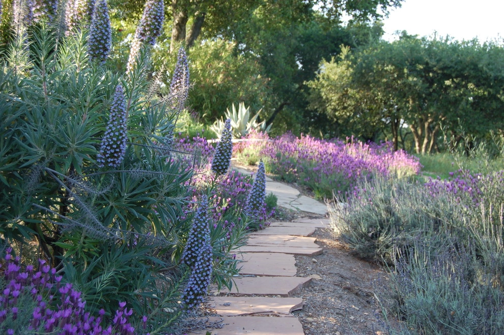 California Old Hacienda Garden by Karen Aitken And Associates - Photo 21