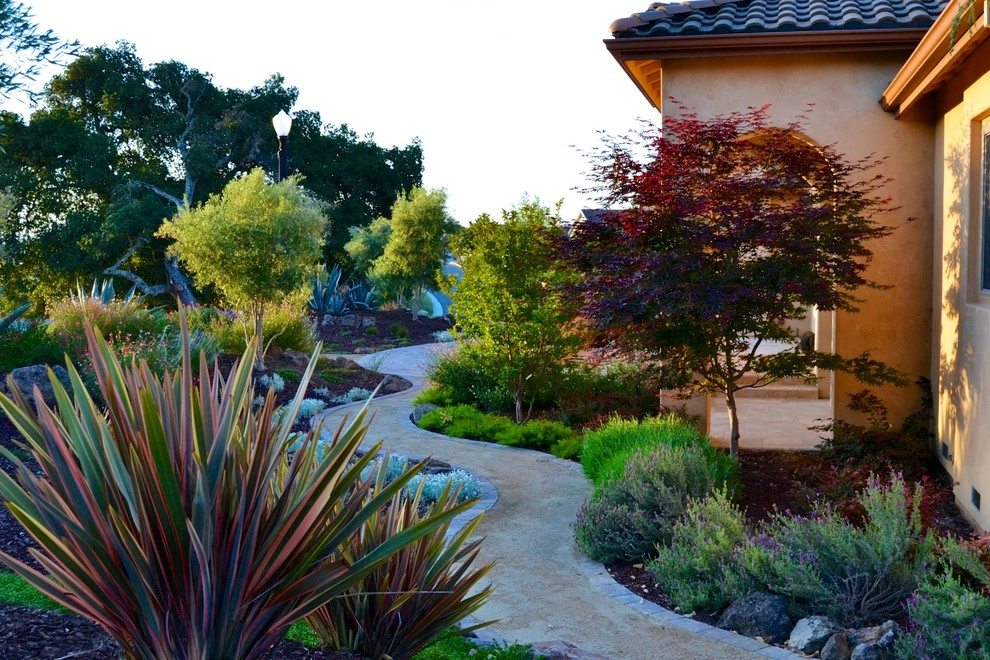 Mediterranean Xeriscape Garden by Karen Aitken And Associates - Photo 7