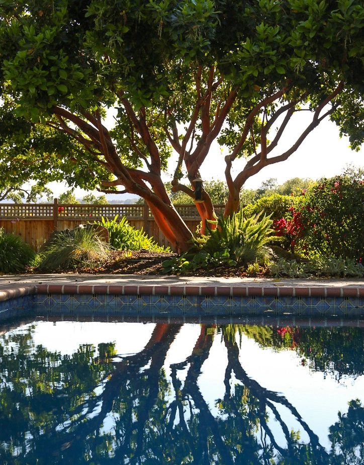 Country Golf Retreat by Karen Aitken And Associates - Photo 11