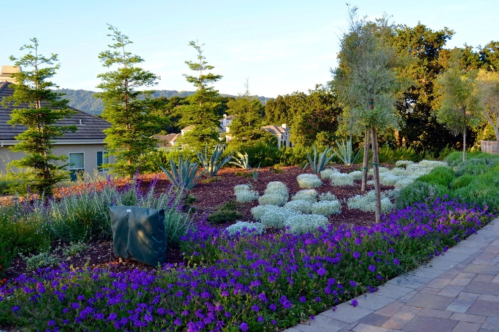 Mediterranean Xeriscape Garden by Karen Aitken And Associates - Photo 3