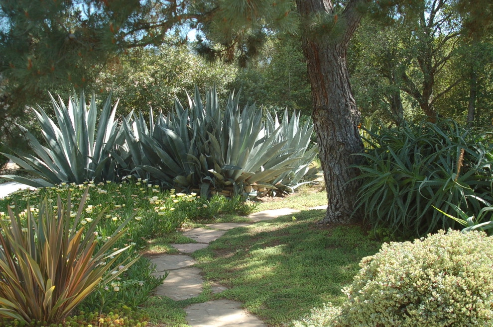 California Old Hacienda Garden by Karen Aitken And Associates - Photo 3