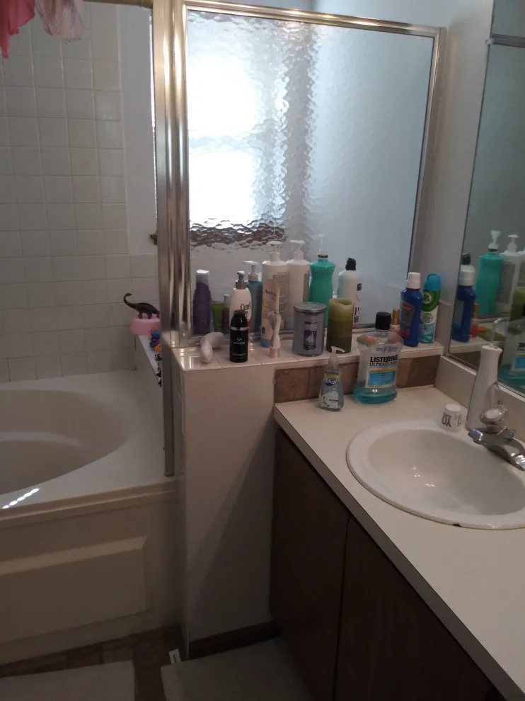 Elgin Primary Bath by Premier Kitchen & Bath Remodeling - Photo 26