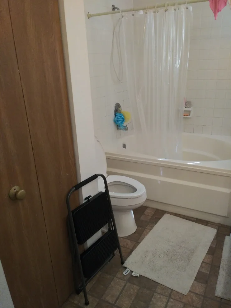 Elgin Primary Bath by Premier Kitchen & Bath Remodeling - Photo 25
