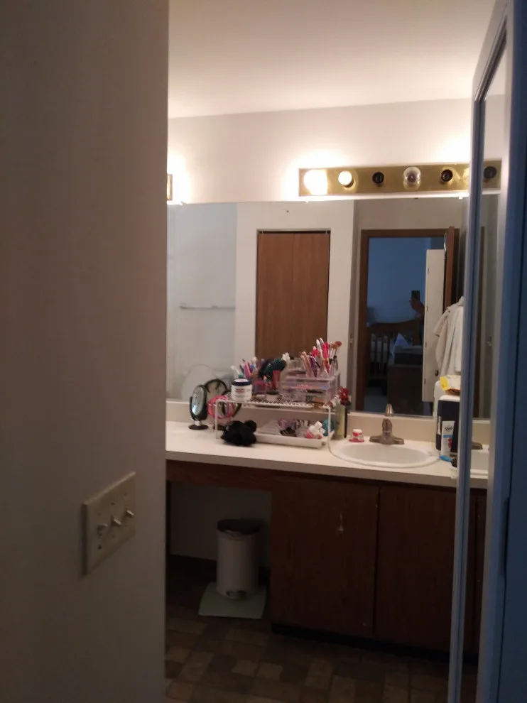 Elgin Primary Bath by Premier Kitchen & Bath Remodeling - Photo 31
