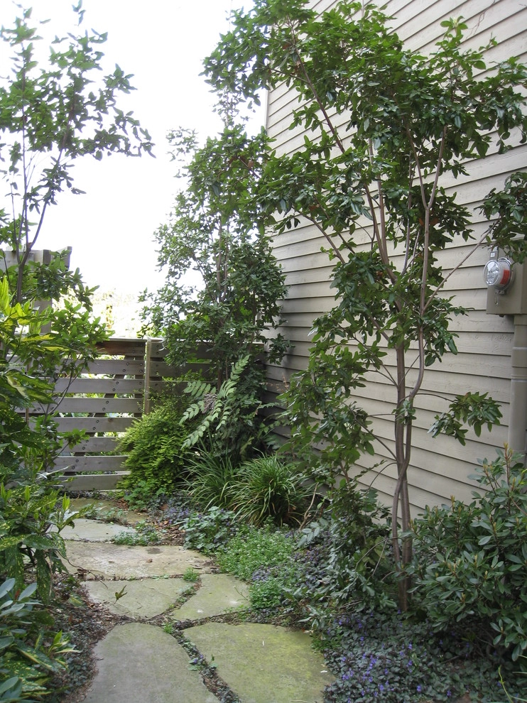 garden paths + patios by Kate Martin Design - Photo 3