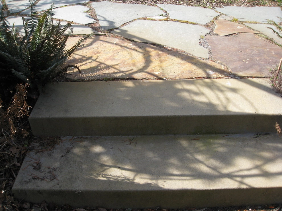 Maple Leaf Landscape by Kate Martin Design - Photo 8