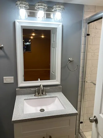 Basement Bathroom Renovation in Elmhurst by Premier Kitchen & Bath Remodeling - Photo 8