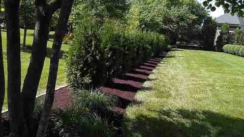 Alberto Alavez Professional Lawn Services LLC 5 by Alberto Alavez Professional Lawn Services LLC - Photo 61