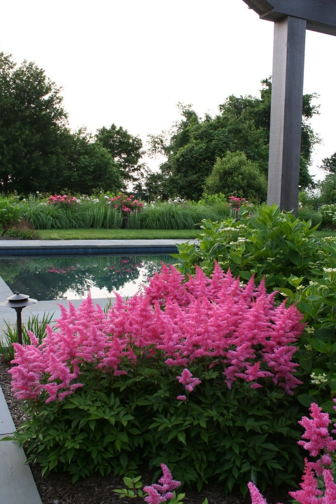 Leeward by Katherine Field And Associates - Photo 8