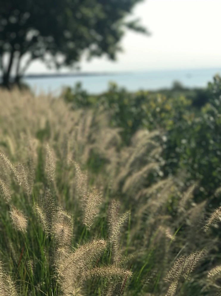 Katherine Field And Associates - Photo 10