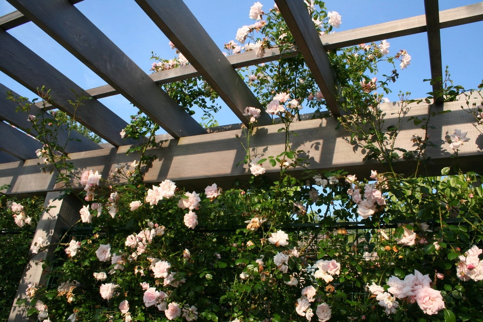 Leeward by Katherine Field And Associates - Photo 7