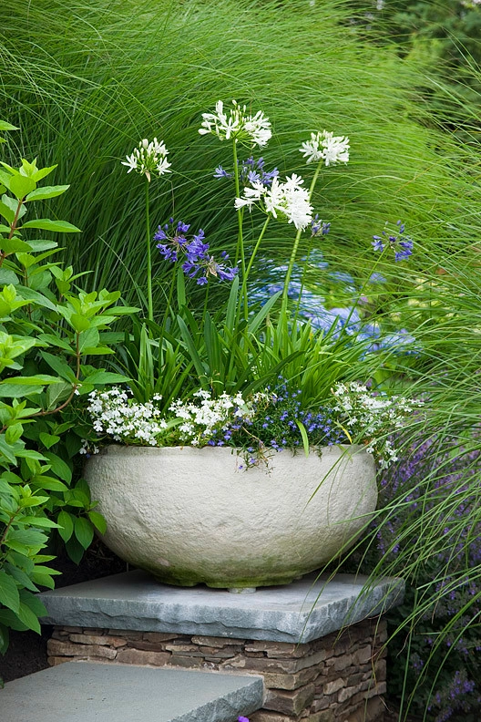 Verbena by Katherine Field And Associates - Photo 9