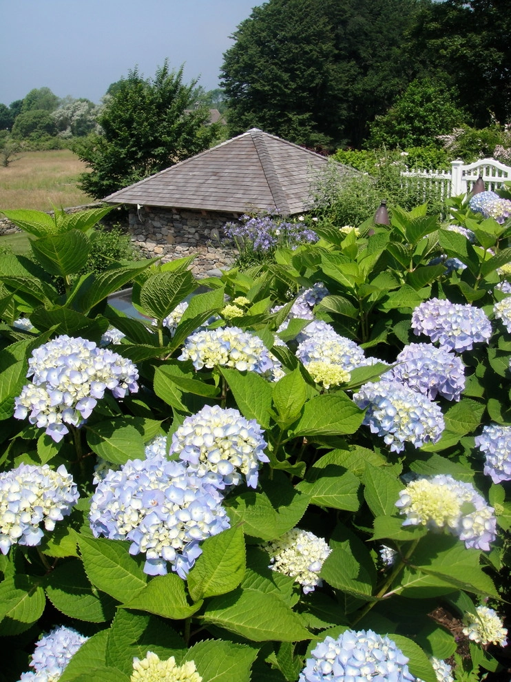 Prospect Hill Farm by Katherine Field And Associates - Photo 14
