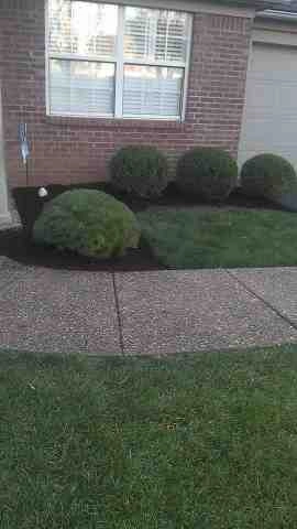 Alberto Alavez Professional Lawn Services LLC 4 by Alberto Alavez Professional Lawn Services LLC - Photo 48