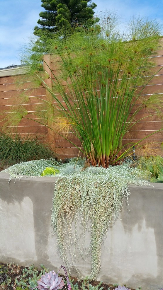 Spruce by Kathy Henry Exterior Design - Photo 11
