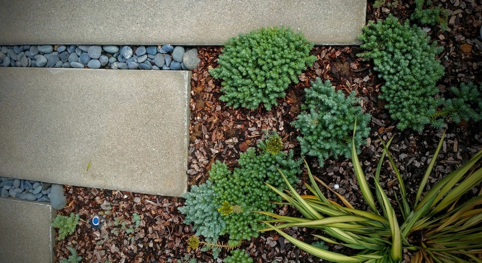 Spruce by Kathy Henry Exterior Design - Photo 15