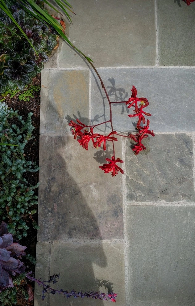Spruce by Kathy Henry Exterior Design - Photo 12
